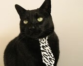 中国女篮优化阵容分工提升得分效率，中国女篮队伍