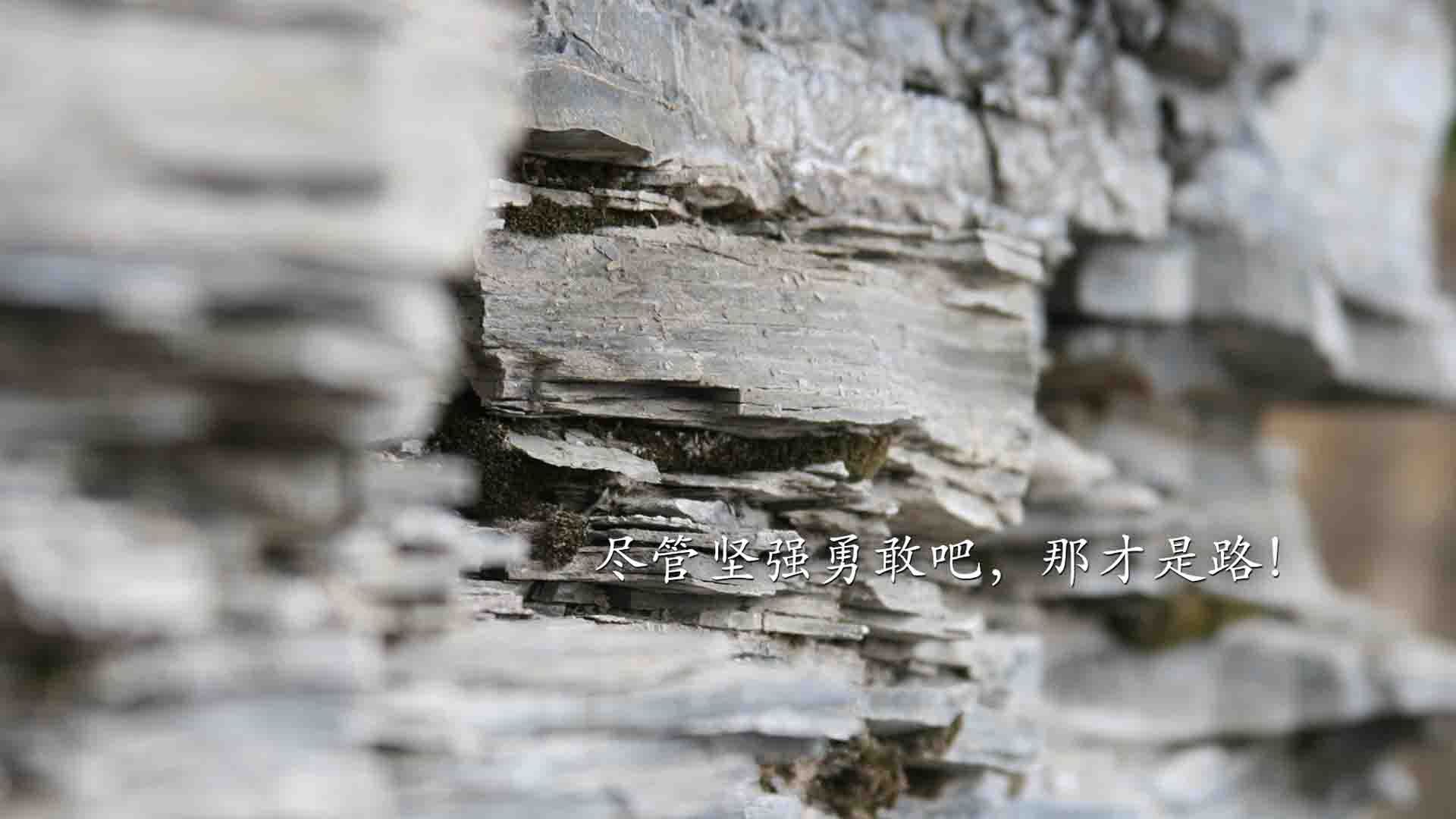 体育新闻中心推动传统体育文化影像国际化传播，中国体育文化传播的主线重构