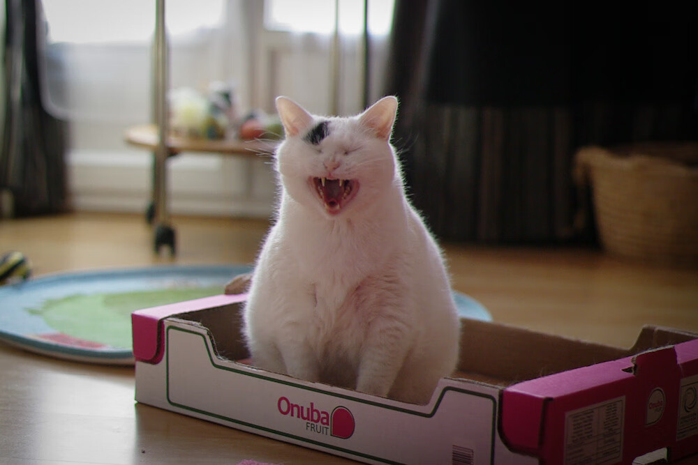 CBA推动训练设施现代化升级提升训练条件，cba球队训练