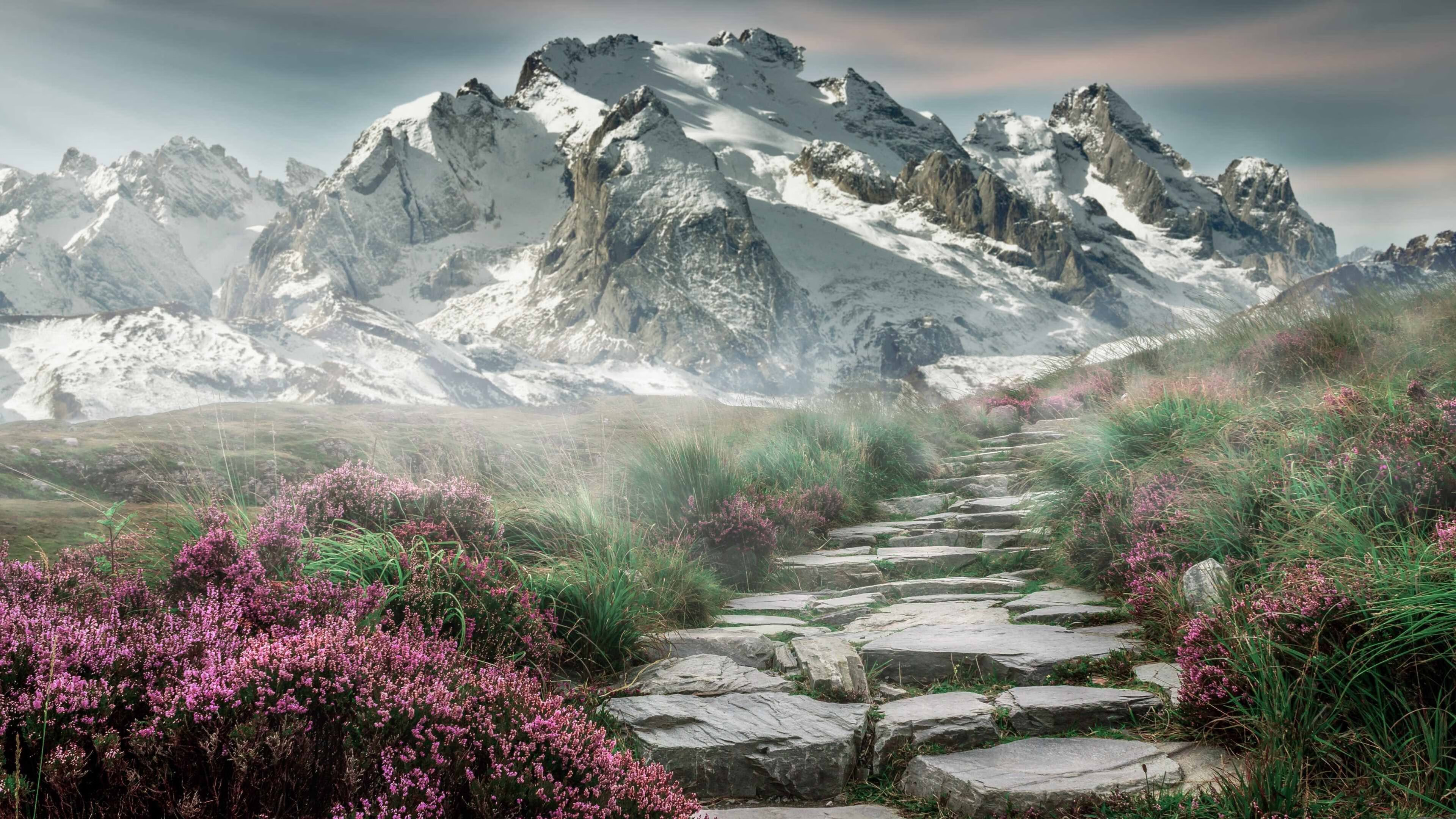 “亚戈·卡尔曼的高效进攻与防守技巧，推动美洲狮队向冠军迈进”